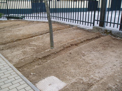 O Terreno depois de cavado foi arranjado e dividido em talhões.
